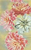 DECORO 80X50 DALILA PRIMAVERA ENJOY (4 PEZZI)