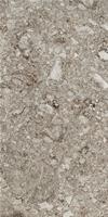 GRES 120X240 RR02 MM.20