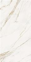 GRES 163,5X323,5 CALACATTA GOLD SLAB A LUCIDO MM.12