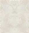 GRES 120X278 ONYCE ON00 ALABASTER BOOKMATCH A+B LUCIDO MM.6
