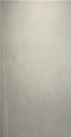 GRES 120X240 BRUT MM.9